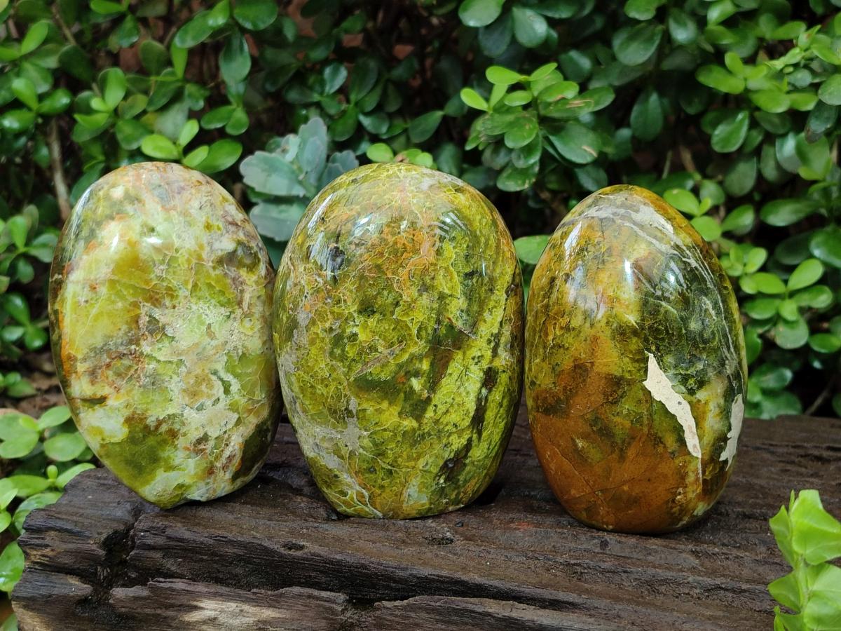Polished Green Opal Standing Display Pieces x 3 From Betroka, Madagascar - Toprock Gemstones and Minerals 
