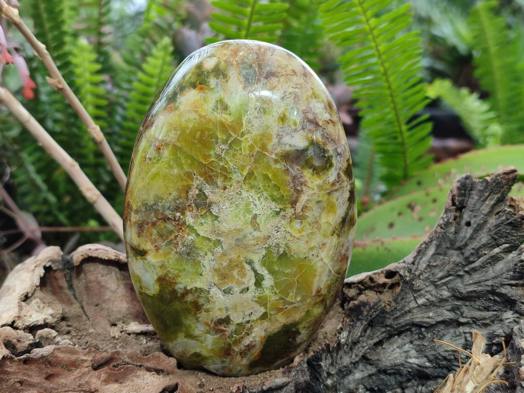 Polished Green Opal Standing Display Pieces x 3 From Betroka, Madagascar - Toprock Gemstones and Minerals 