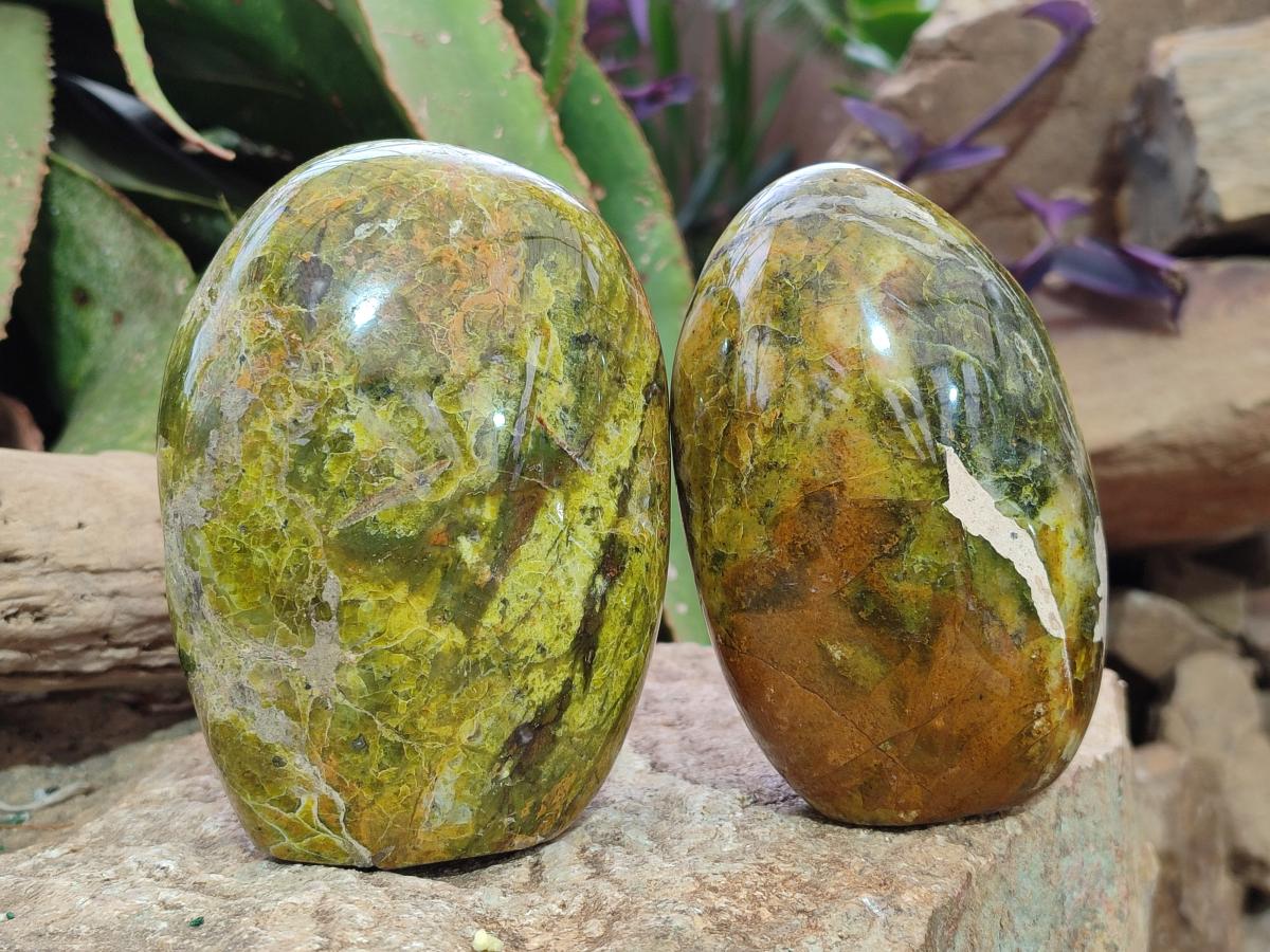 Polished Green Opal Standing Display Pieces x 3 From Betroka, Madagascar - Toprock Gemstones and Minerals 