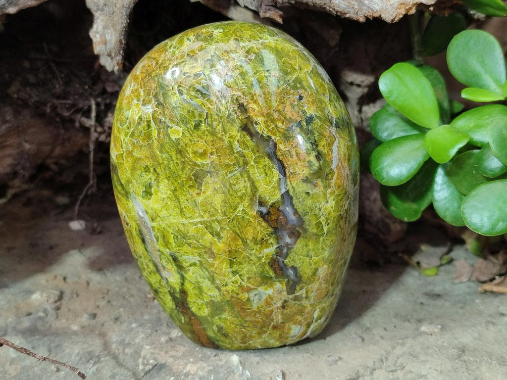 Polished Green Opal Standing Display Pieces x 3 From Betroka, Madagascar - Toprock Gemstones and Minerals 