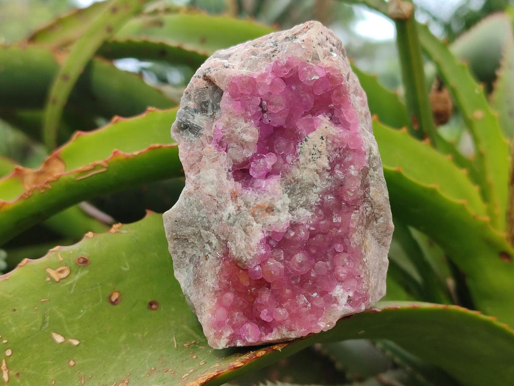 Natural Spherocobaltite Specimens x 6 From Mashamba West Mine, Congo - Toprock Gemstones and Minerals 