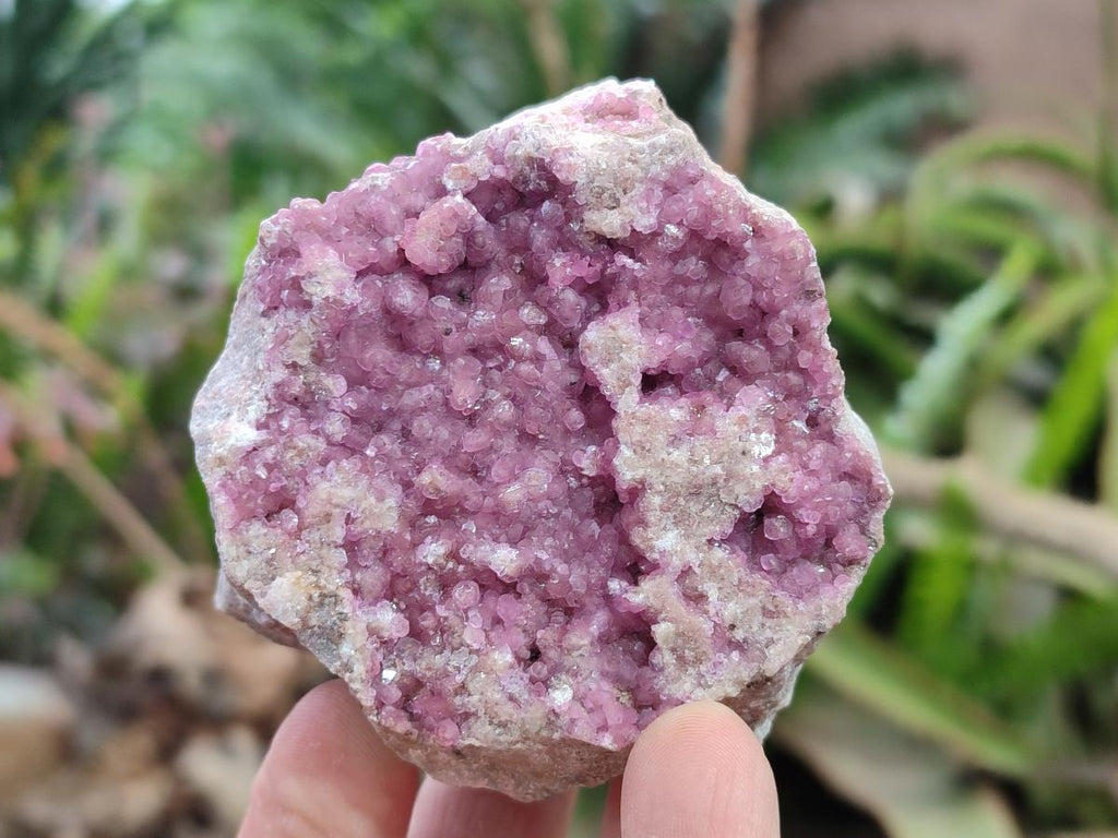 Natural Spherocobaltite Specimens x 6 From Mashamba West Mine, Congo - Toprock Gemstones and Minerals 