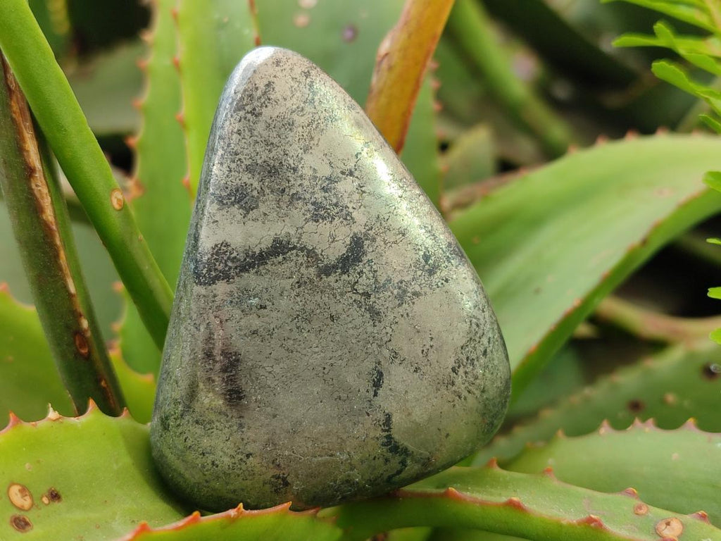 Polished Basalt Pharaoh Stone Free Forms x 6 From Iron Duke Mine, Zimbabwe - Toprock Gemstones and Minerals 