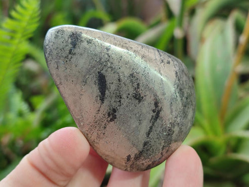Polished Basalt Pharaoh Stone Free Forms x 6 From Iron Duke Mine, Zimbabwe - Toprock Gemstones and Minerals 