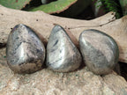 Polished Basalt Pharaoh Stone Free Forms x 6 From Iron Duke Mine, Zimbabwe - Toprock Gemstones and Minerals 