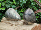 Polished Basalt Pharaoh Stone Free Forms x 6 From Iron Duke Mine, Zimbabwe - Toprock Gemstones and Minerals 