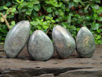 Polished Basalt Pharaoh Stone Free Forms x 6 From Iron Duke Mine, Zimbabwe - Toprock Gemstones and Minerals 