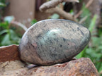 Polished Basalt Pharaoh Stone Free Forms x 6 From Iron Duke Mine, Zimbabwe - Toprock Gemstones and Minerals 
