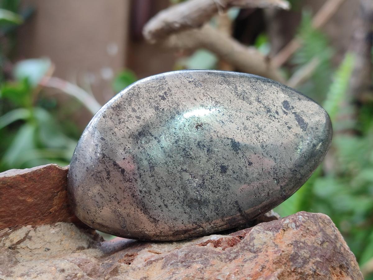 Polished Basalt Pharaoh Stone Free Forms x 6 From Iron Duke Mine, Zimbabwe - Toprock Gemstones and Minerals 