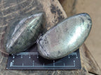 Polished Basalt Pharaoh Stone Free Forms x 6 From Iron Duke Mine, Zimbabwe - Toprock Gemstones and Minerals 