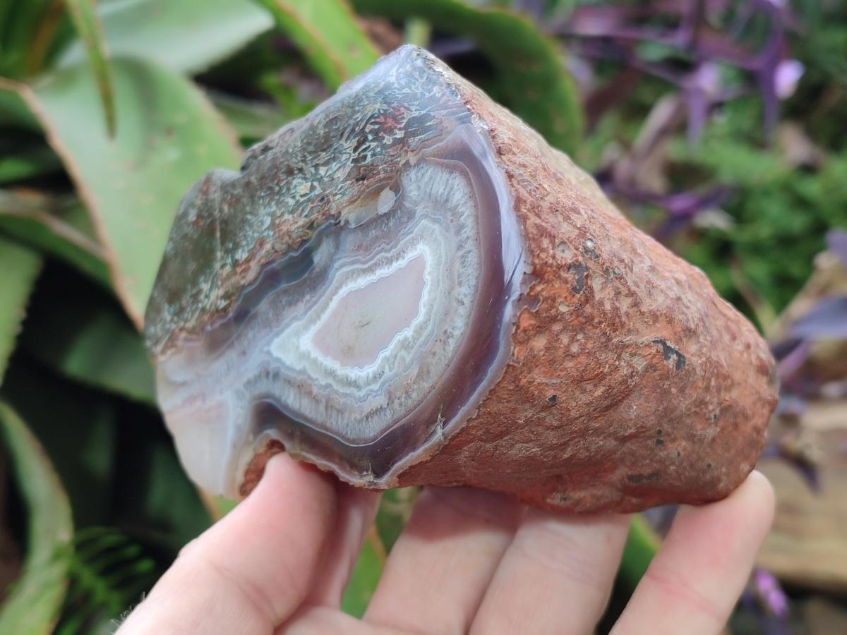 Polished One Side Red Shashe River Agate Nodules x 3 From Shashe River, Zimbabwe - Toprock Gemstones and Minerals 