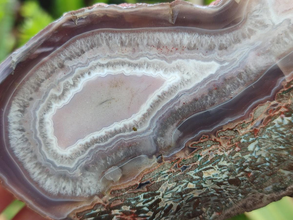 Polished One Side Red Shashe River Agate Nodules x 3 From Shashe River, Zimbabwe - Toprock Gemstones and Minerals 