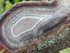 Polished One Side Red Shashe River Agate Nodules x 3 From Shashe River, Zimbabwe - Toprock Gemstones and Minerals 