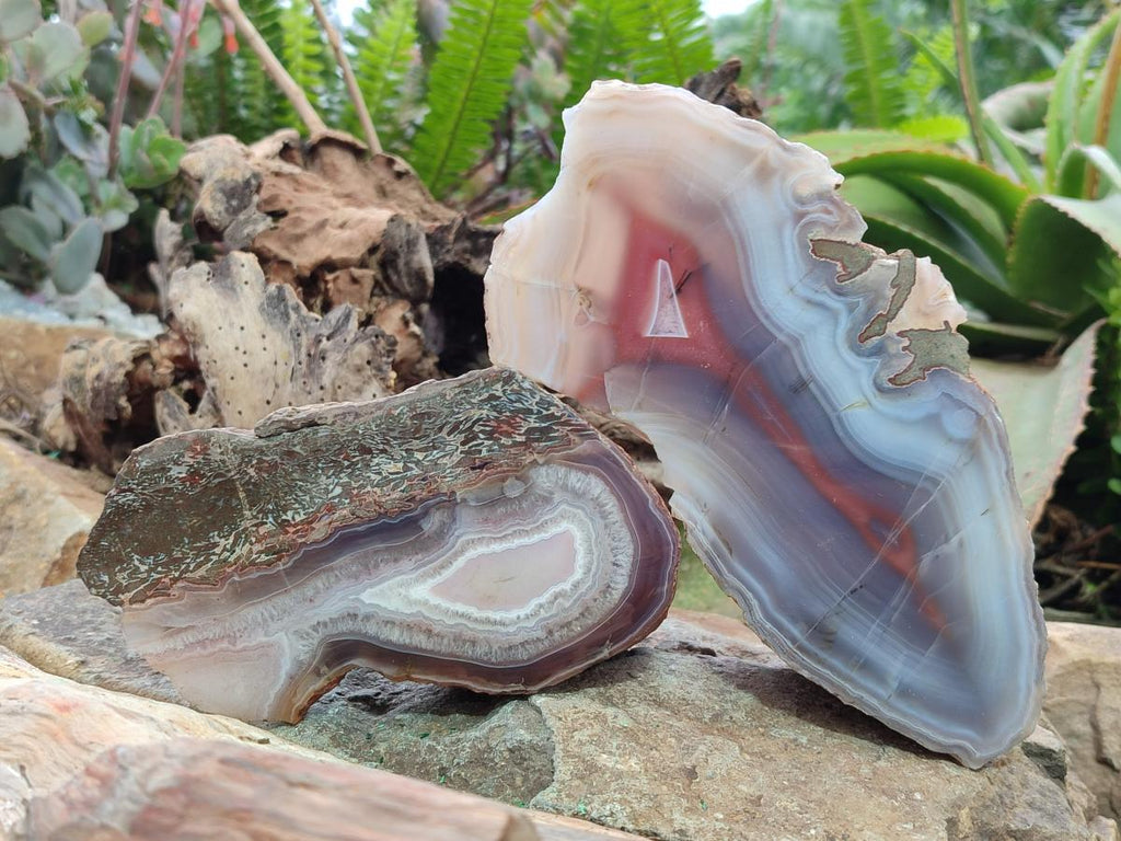 Polished One Side Red Shashe River Agate Nodules x 3 From Shashe River, Zimbabwe - Toprock Gemstones and Minerals 