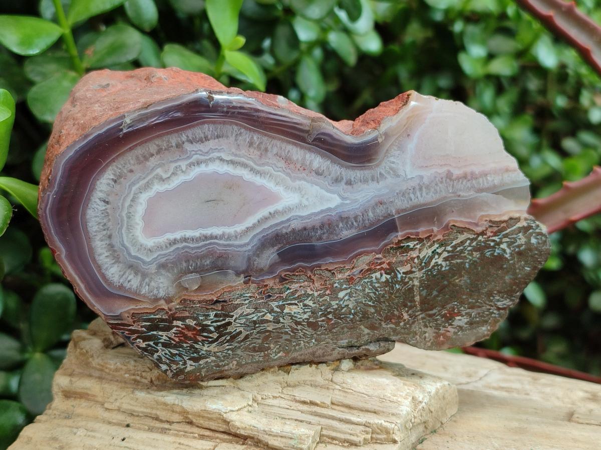 Polished One Side Red Shashe River Agate Nodules x 3 From Shashe River, Zimbabwe - Toprock Gemstones and Minerals 