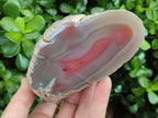 Polished One Side Red Shashe River Agate Nodules x 3 From Shashe River, Zimbabwe - Toprock Gemstones and Minerals 
