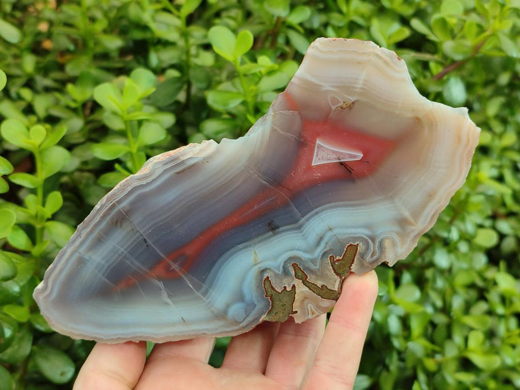 Polished One Side Red Shashe River Agate Nodules x 3 From Shashe River, Zimbabwe - Toprock Gemstones and Minerals 