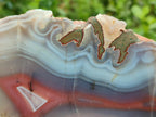 Polished One Side Red Shashe River Agate Nodules x 3 From Shashe River, Zimbabwe - Toprock Gemstones and Minerals 