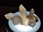 Natural Smokey Quartz Crystals and Clusters with Associated Minerals x 18 From Erongo, Namibia - Toprock Gemstones and Minerals 
