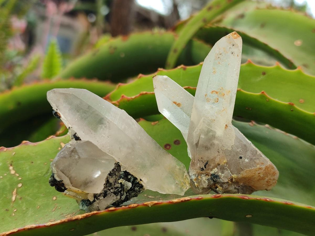 Natural Smokey Quartz Crystals and Clusters with Associated Minerals x 18 From Erongo, Namibia - Toprock Gemstones and Minerals 