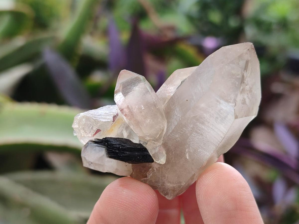Natural Smokey Quartz Crystals and Clusters with Associated Minerals x 18 From Erongo, Namibia - Toprock Gemstones and Minerals 
