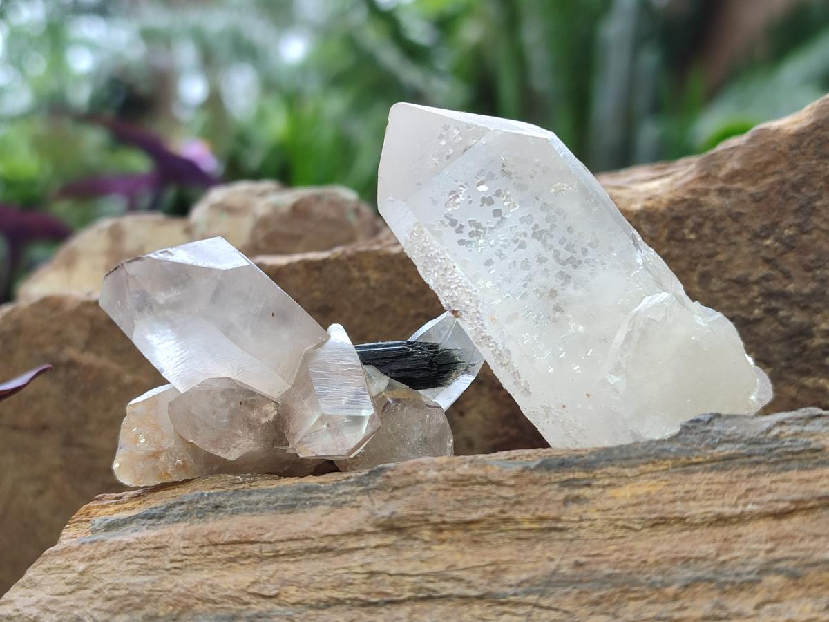 Natural Smokey Quartz Crystals and Clusters with Associated Minerals x 18 From Erongo, Namibia - Toprock Gemstones and Minerals 