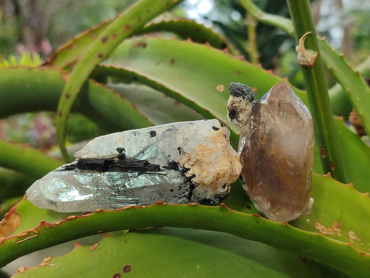 Natural Smokey Quartz Crystals and Clusters with Associated Minerals x 18 From Erongo, Namibia - Toprock Gemstones and Minerals 