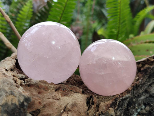 Polished Gemmy Rose Quartz Spheres x 6 From Madagascar - Toprock Gemstones and Minerals 