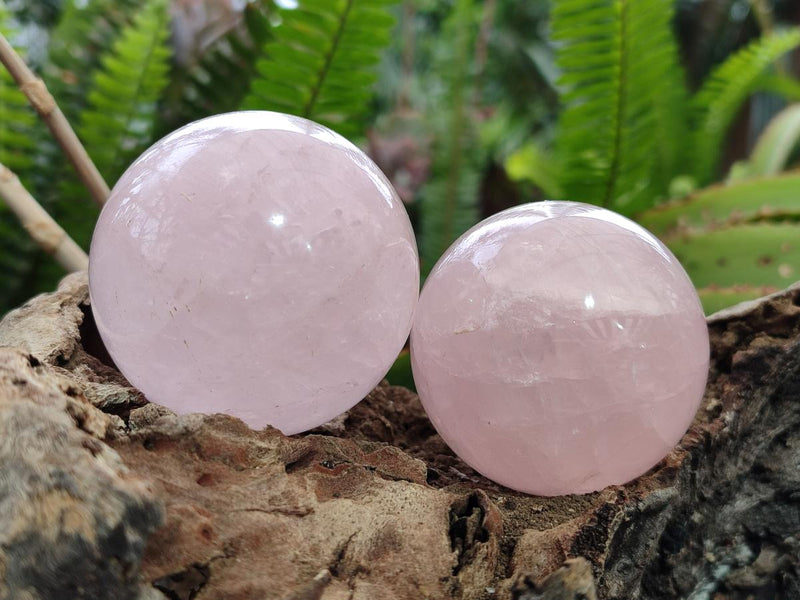 Polished Gemmy Rose Quartz Spheres x 6 From Madagascar - Toprock Gemstones and Minerals 
