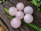 Polished Gemmy Rose Quartz Spheres x 6 From Madagascar - Toprock Gemstones and Minerals 