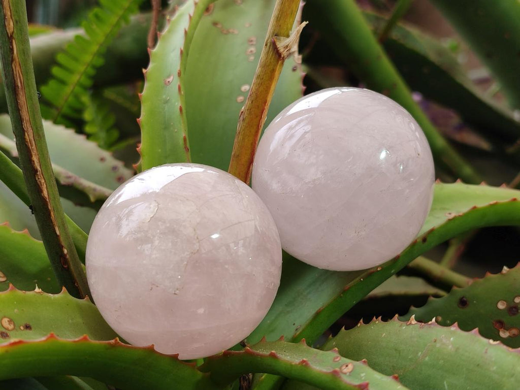 Polished Gemmy Rose Quartz Spheres x 6 From Madagascar - Toprock Gemstones and Minerals 
