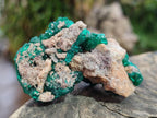 Natural Dioptase Specimens on Dolomite Matrix x 12 From Tantara Mine, Congo - Toprock Gemstones and Minerals 