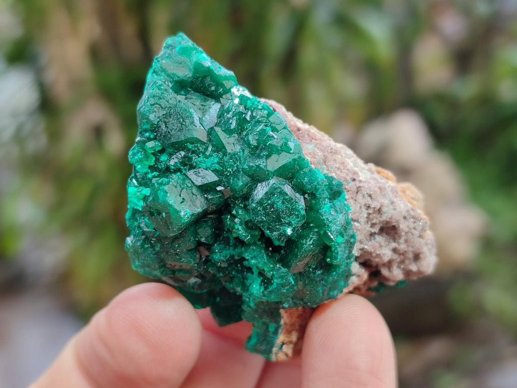 Natural Dioptase Specimens on Dolomite Matrix x 12 From Tantara Mine, Congo - Toprock Gemstones and Minerals 