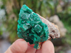 Natural Dioptase Specimens on Dolomite Matrix x 12 From Tantara Mine, Congo - Toprock Gemstones and Minerals 