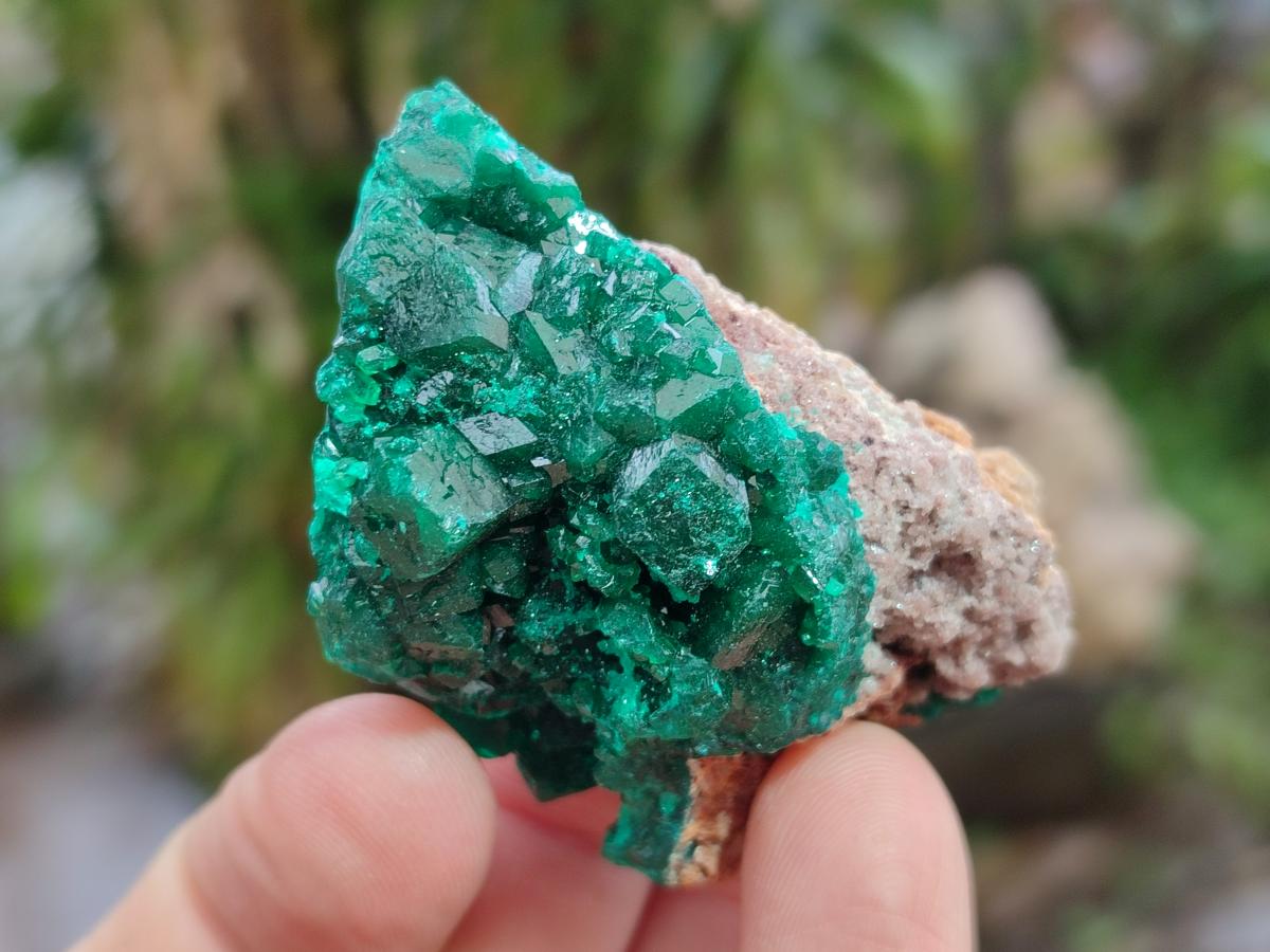 Natural Dioptase Specimens on Dolomite Matrix x 12 From Tantara Mine, Congo - Toprock Gemstones and Minerals 