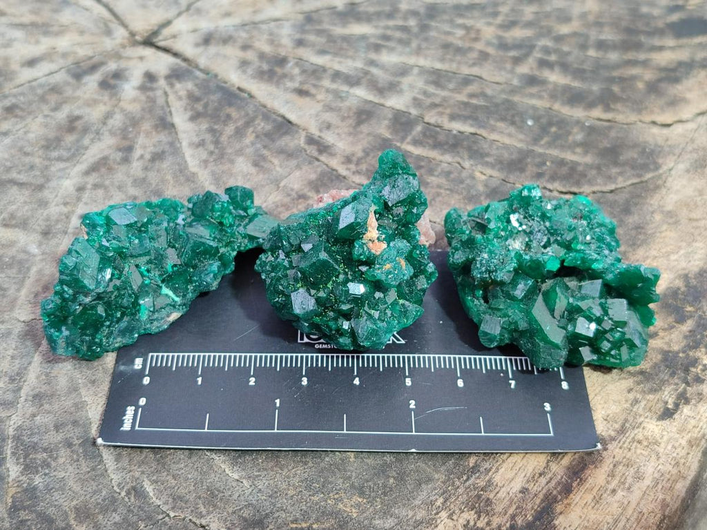 Natural Dioptase Specimens on Dolomite Matrix x 12 From Tantara Mine, Congo - Toprock Gemstones and Minerals 