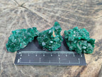 Natural Dioptase Specimens on Dolomite Matrix x 12 From Tantara Mine, Congo - Toprock Gemstones and Minerals 