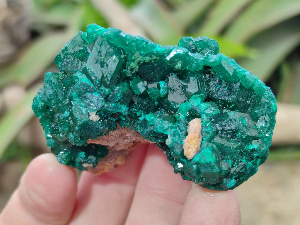 Natural Dioptase Specimens on Dolomite Matrix x 12 From Tantara Mine, Congo - Toprock Gemstones and Minerals 