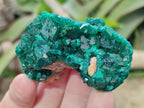 Natural Dioptase Specimens on Dolomite Matrix x 12 From Tantara Mine, Congo - Toprock Gemstones and Minerals 