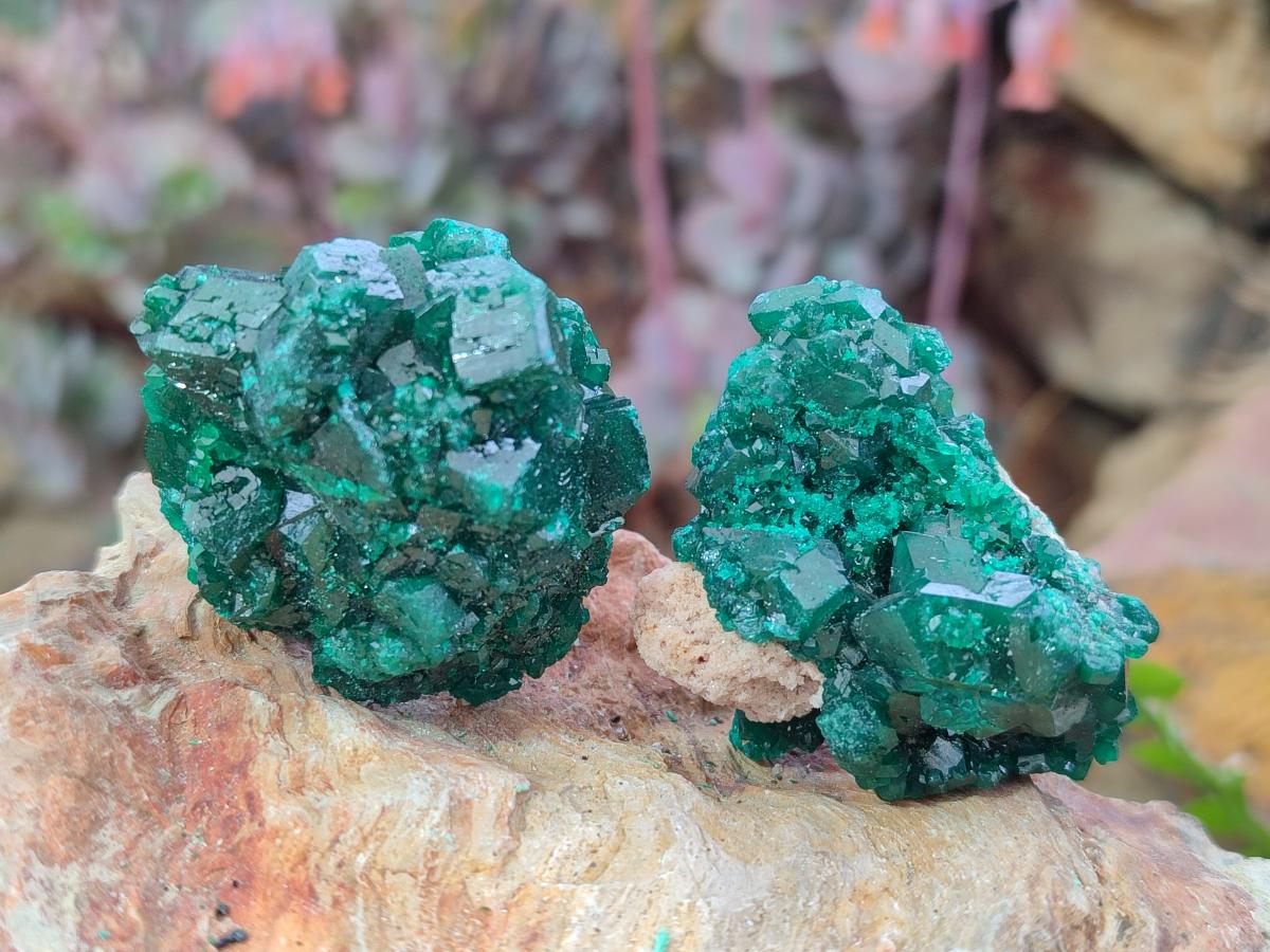 Natural Dioptase Specimens on Dolomite Matrix x 12 From Tantara Mine, Congo - Toprock Gemstones and Minerals 