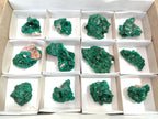 Natural Dioptase Specimens on Dolomite Matrix x 12 From Tantara Mine, Congo - Toprock Gemstones and Minerals 