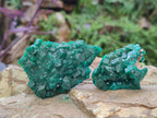 Natural Dioptase Specimens on Dolomite Matrix x 12 From Tantara Mine, Congo - Toprock Gemstones and Minerals 
