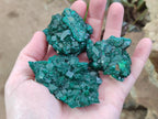 Natural Dioptase Specimens on Dolomite Matrix x 12 From Tantara Mine, Congo - Toprock Gemstones and Minerals 