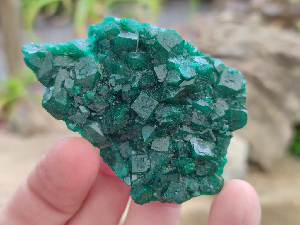 Natural Dioptase Specimens on Dolomite Matrix x 12 From Tantara Mine, Congo - Toprock Gemstones and Minerals 