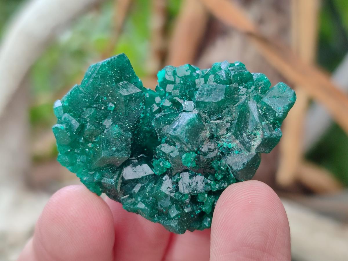 Natural Dioptase Specimens on Dolomite Matrix x 12 From Tantara Mine, Congo - Toprock Gemstones and Minerals 