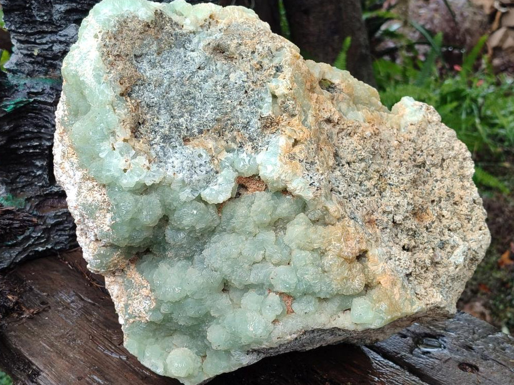 Natural XXL Green Prehnite Specimen x 1 From Viljoensdrift, Namibia - Toprock Gemstones and Minerals 
