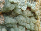 Natural XXL Green Prehnite Specimen x 1 From Viljoensdrift, Namibia - Toprock Gemstones and Minerals 
