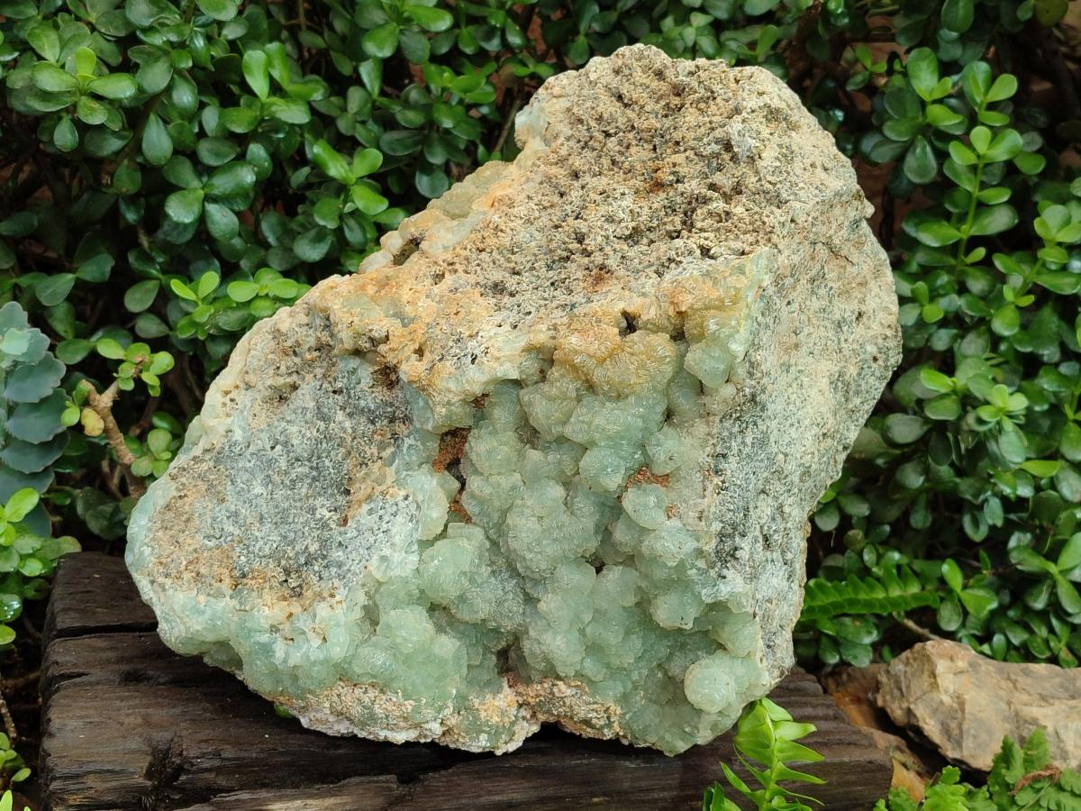 Natural XXL Green Prehnite Specimen x 1 From Viljoensdrift, Namibia - Toprock Gemstones and Minerals 