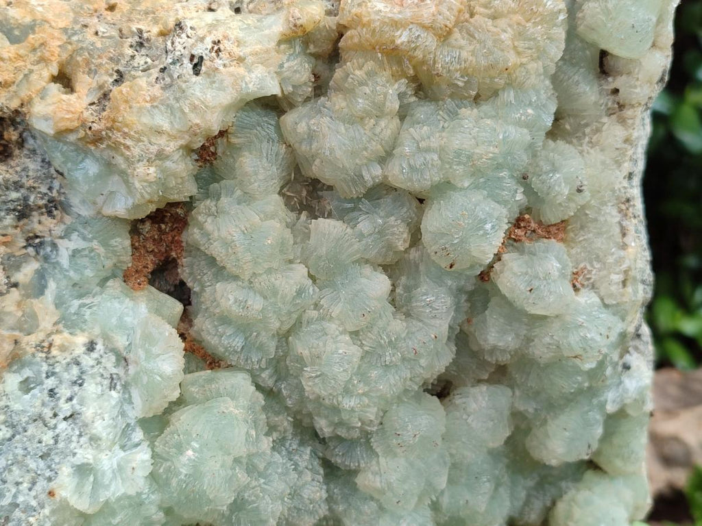 Natural XXL Green Prehnite Specimen x 1 From Viljoensdrift, Namibia - Toprock Gemstones and Minerals 