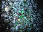 Natural XXL Green Prehnite Specimen x 1 From Viljoensdrift, Namibia - Toprock Gemstones and Minerals 